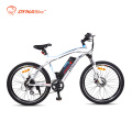 Dynavolt wholesale fashion 36v electric bicycle with lithium battery